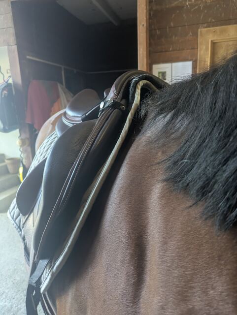 Selle — photo 6